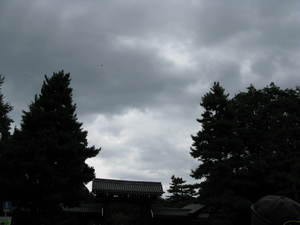 曇り空.JPG